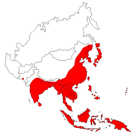 Vaccin encéphalite japonaise