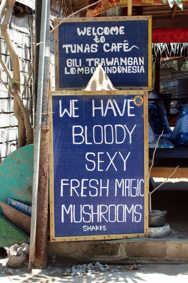 Gili champignons magiques