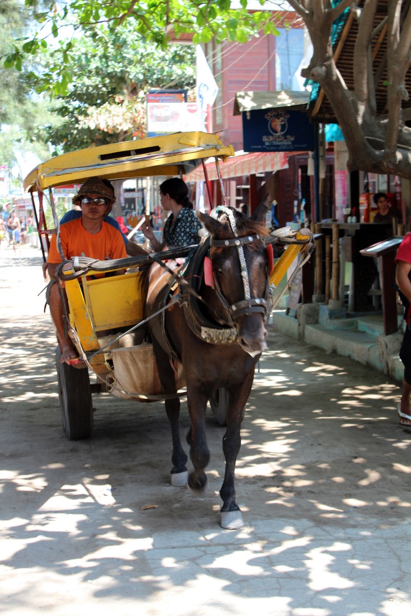 Gili Trawangan cidomo