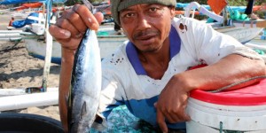 Les pêcheurs de Senggigi