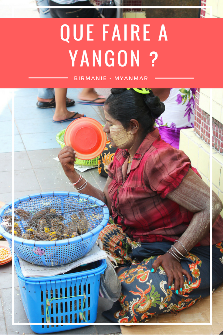 Birmanie Myanmar Yangon