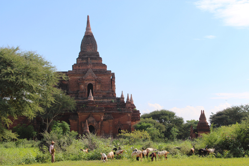 Birmanie visiter Bagan