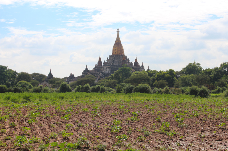 Temples visiter Bagan