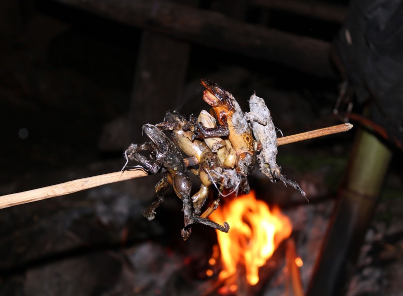 Grenouilles grillées