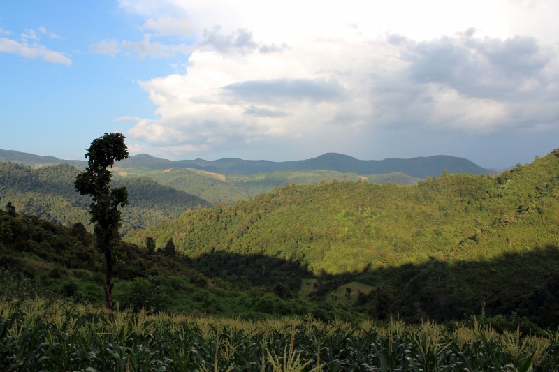 Paysage nord Thailande