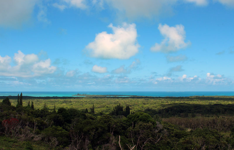 Ile des pins