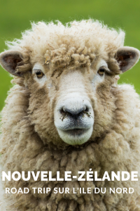 Nouvelle-Zélande