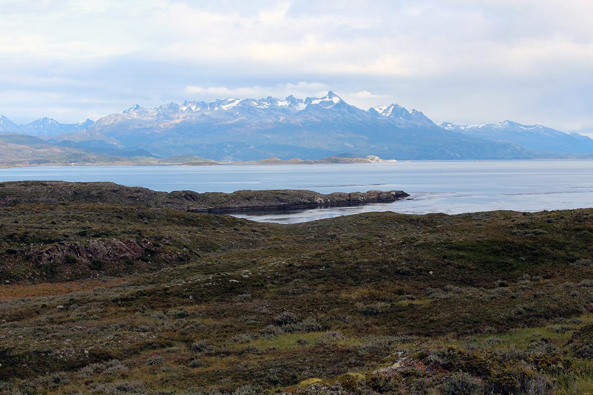 Patagonie Isla bridges