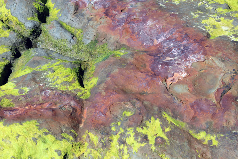 Ile Quinchao texture