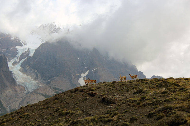 Torres del Paine