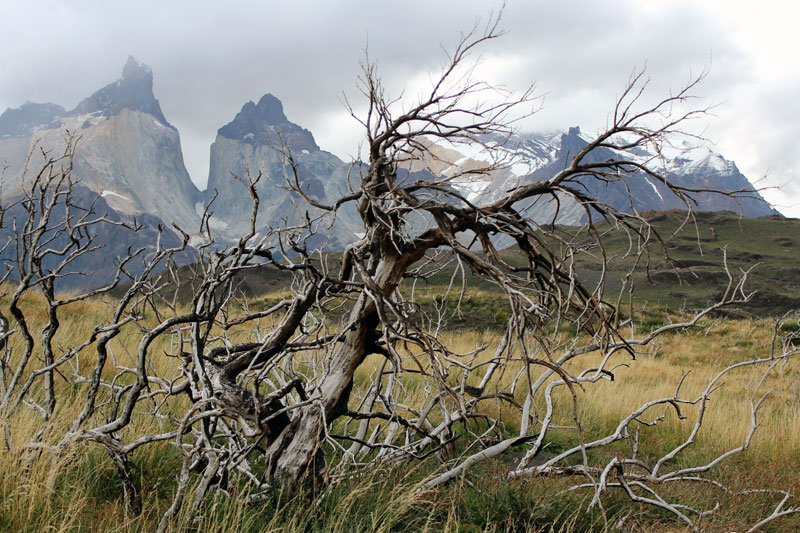 Torres del Paine