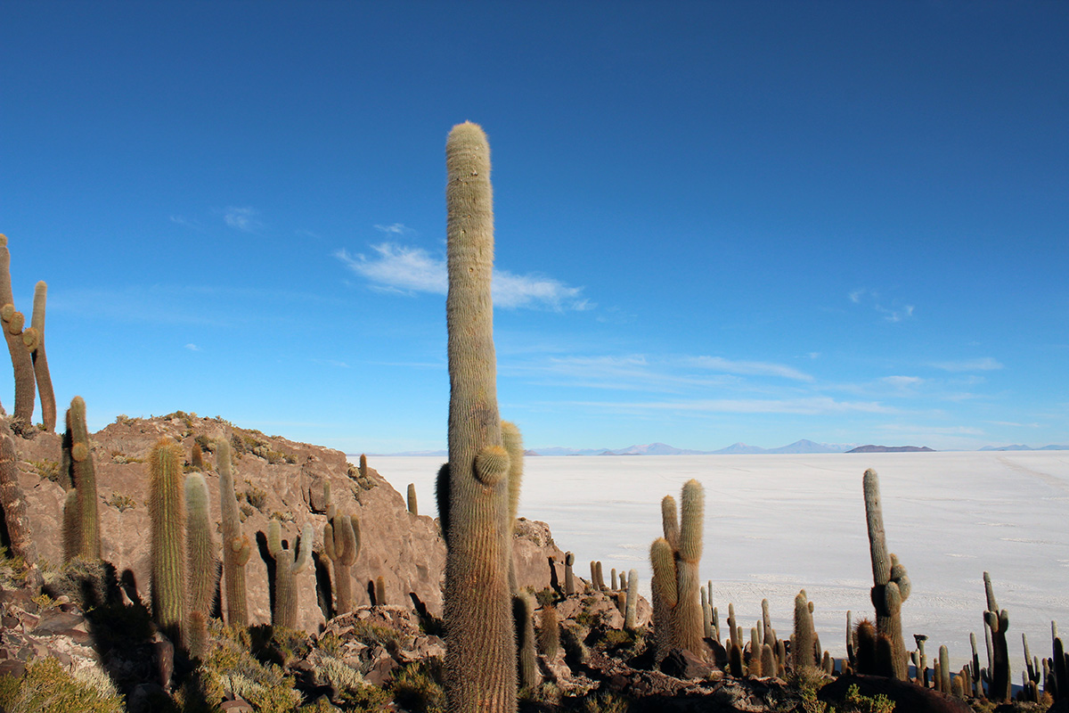 Ile Inca Wasi