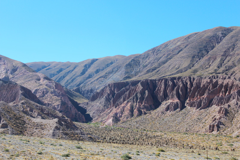 Salta Argentine