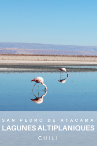 San Pedro de Atacama