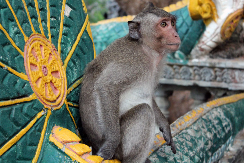 Temples Phnom Sampeau