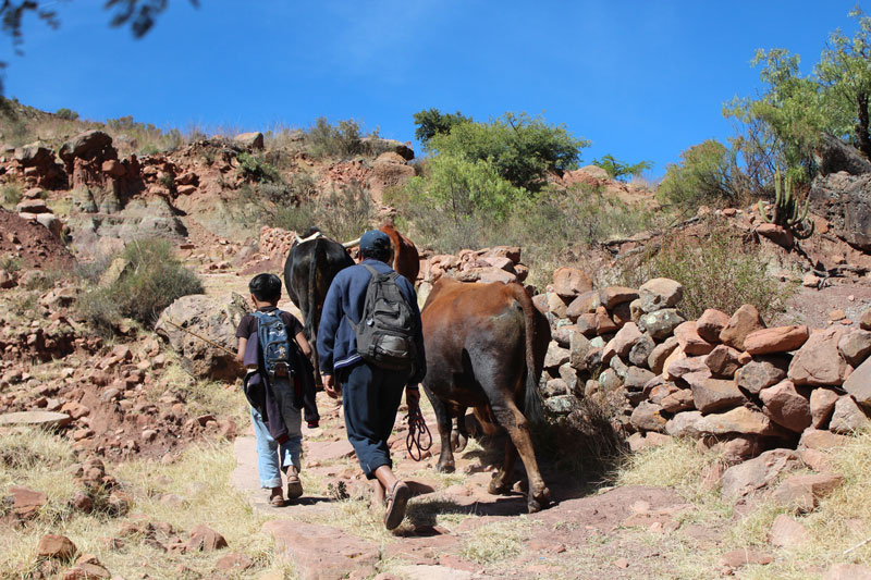 Chemin des Incas