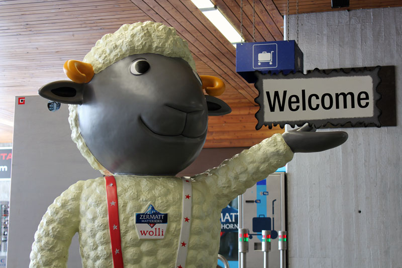 Wolli mascotte de Zermatt