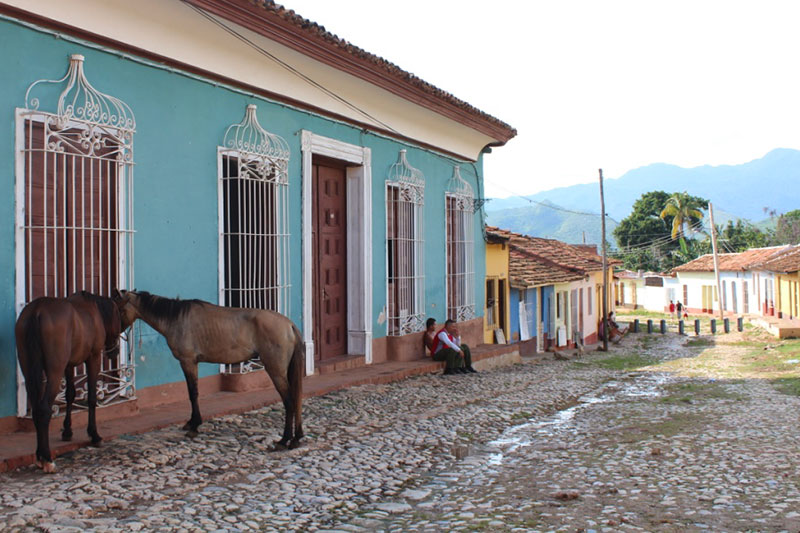 Trinidad chevaux attachés