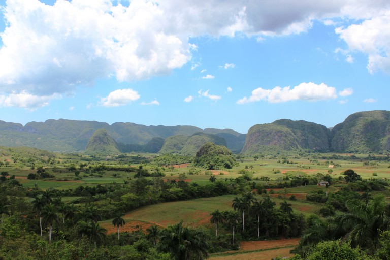 vinales