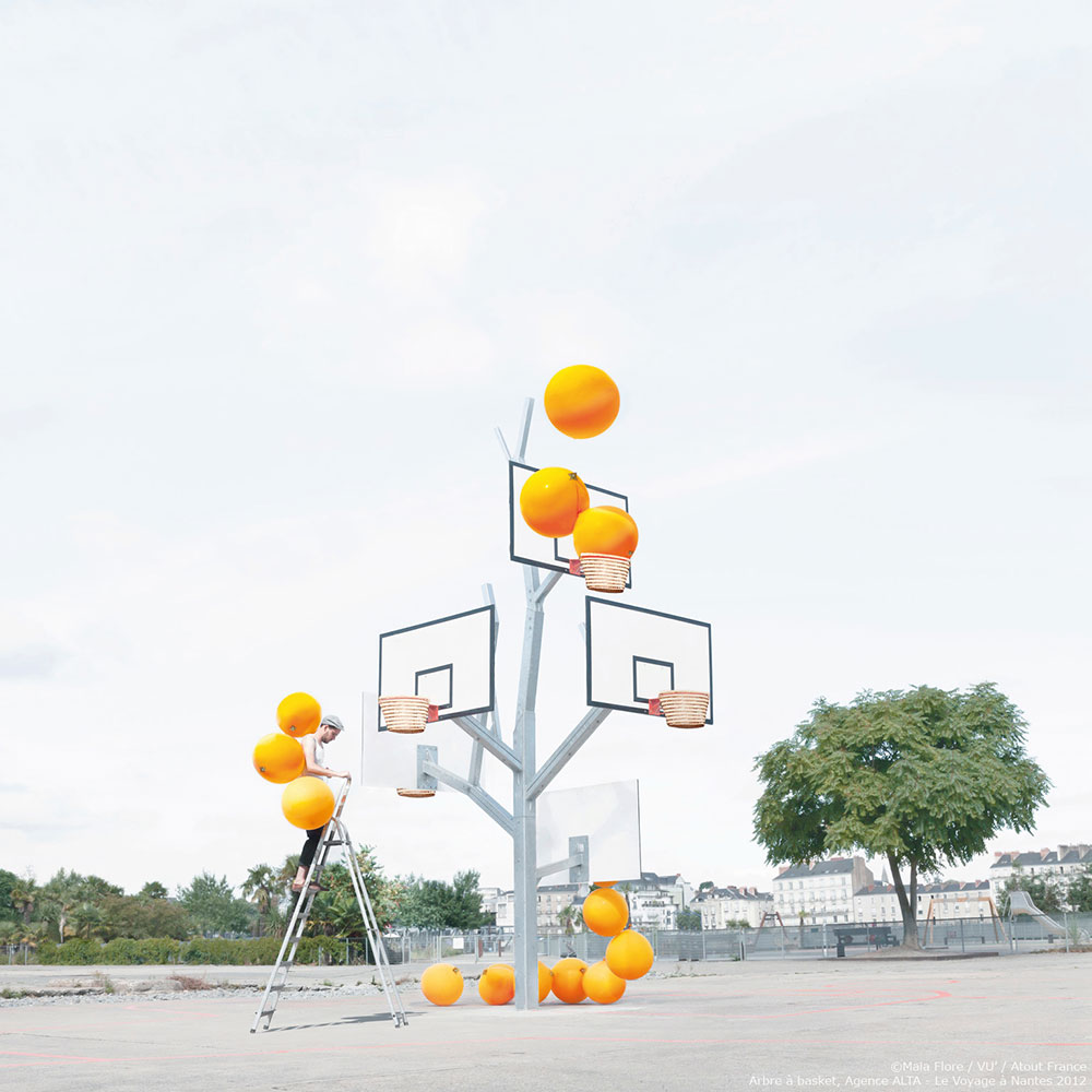 L'arbre à basket de Nantes