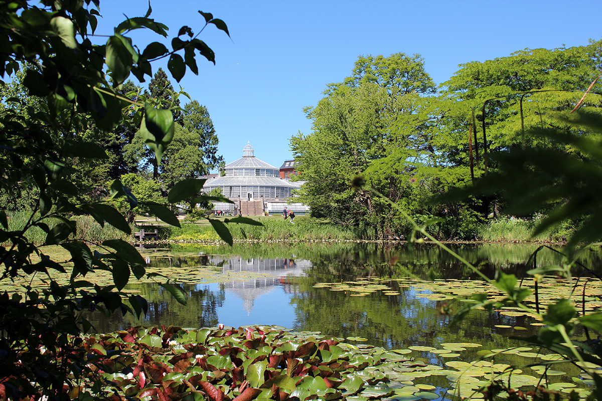 Copenhague jardin botanique