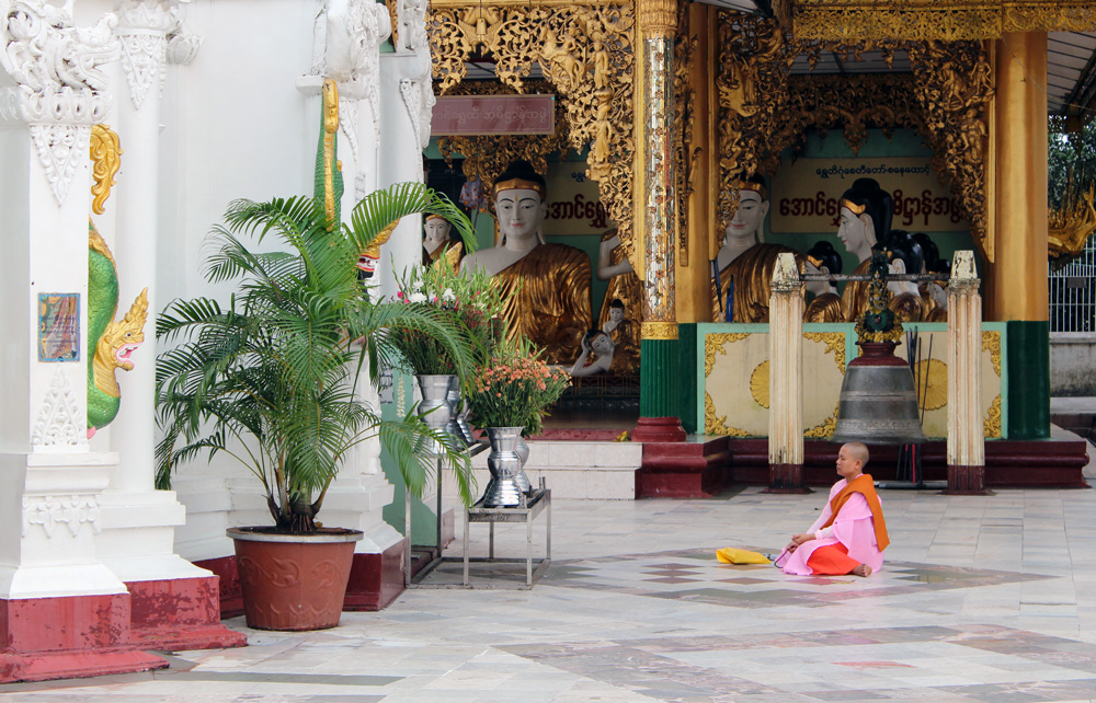 Monk pagode Shwedagon Birmanie