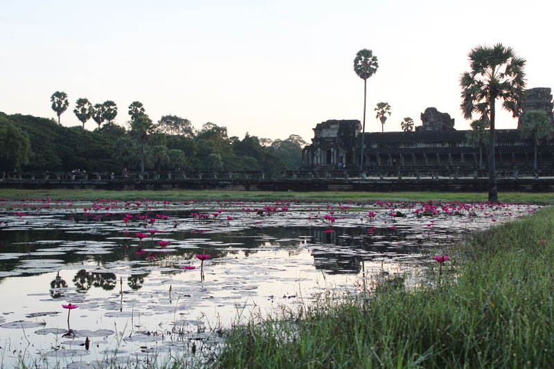 Angkor