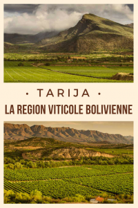 Tarija Bolivie