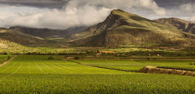 Bolivie Tarija