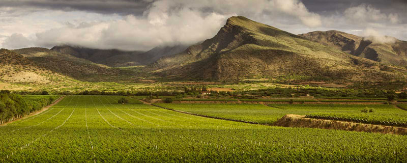 Bolivie Tarija