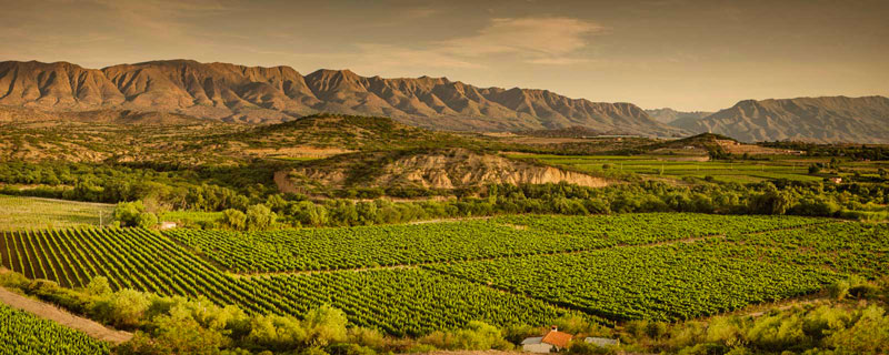 Tarija