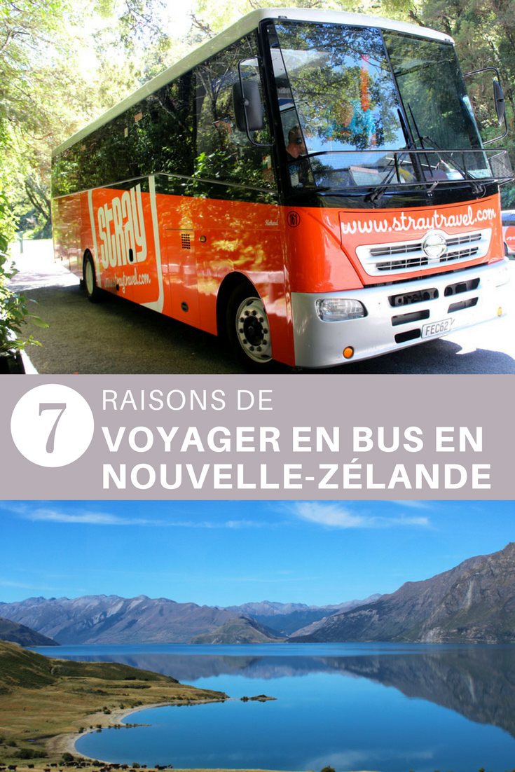 Voyager en bus Stray en Nouvelle-Zélande