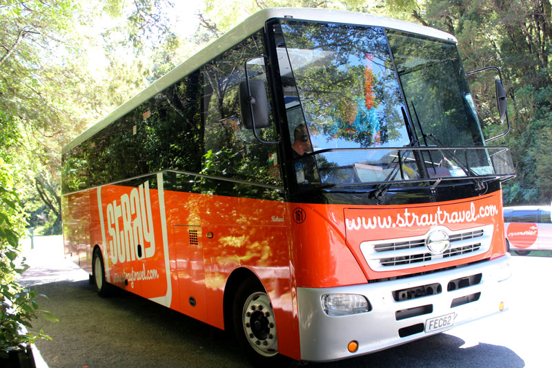 Voyager en bus Stray en Nouvelle-Zélande