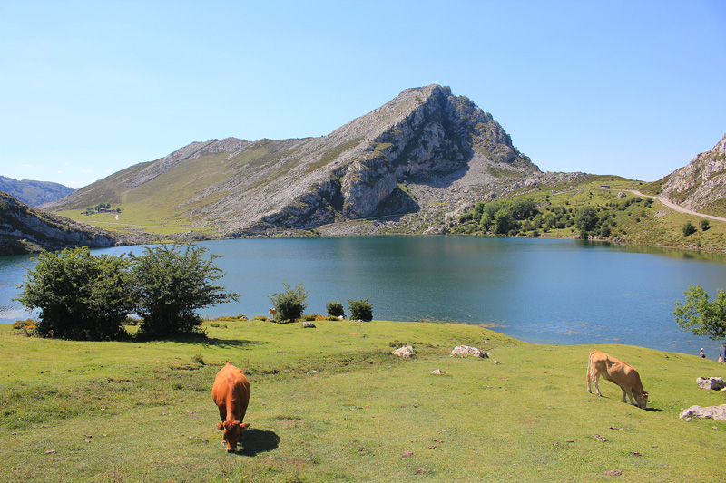 Visiter Asturies