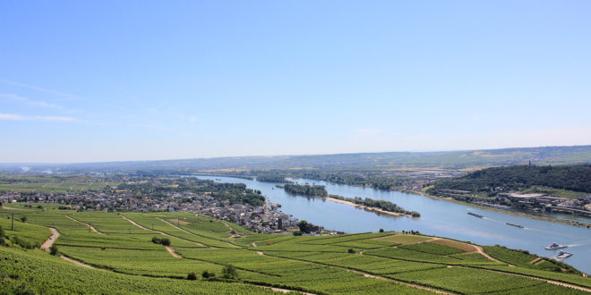 Vallée du Rhin