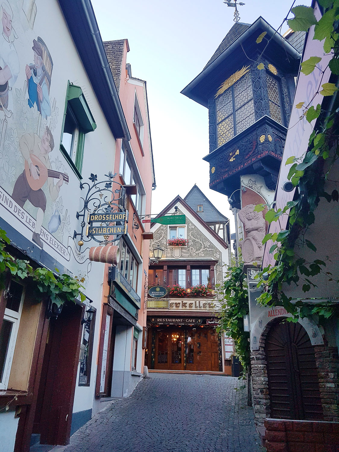 Visiter Rüdesheim am Rhein