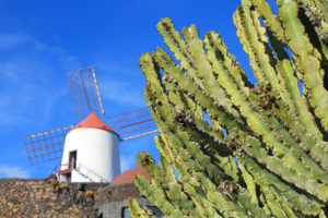 Visiter Lanzarote