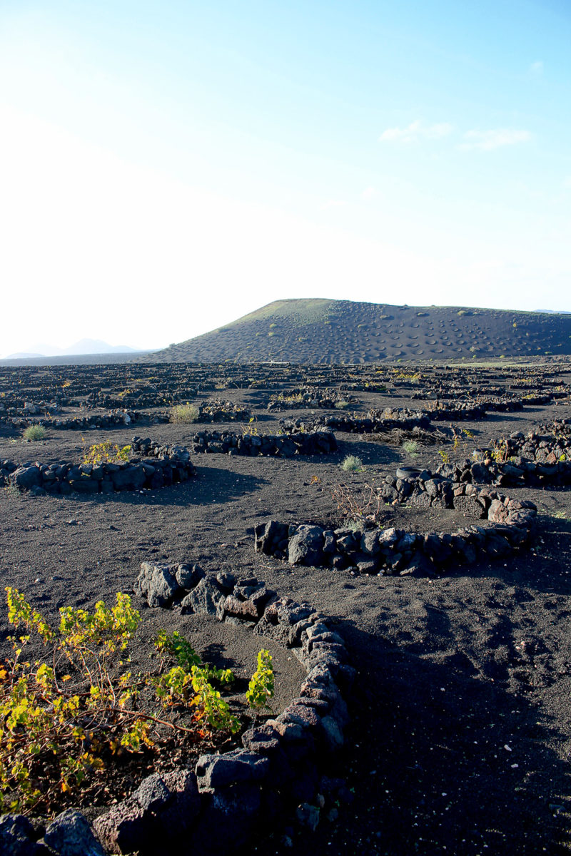 Road trip à Lanzarote