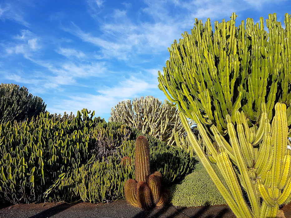 que faire à Fuerteventura