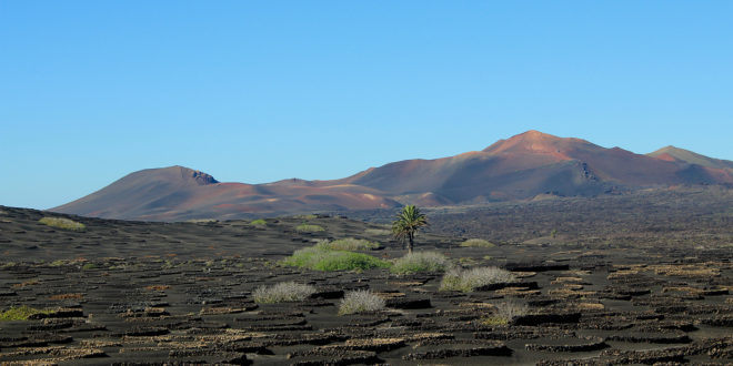 Visiter Lanzarote
