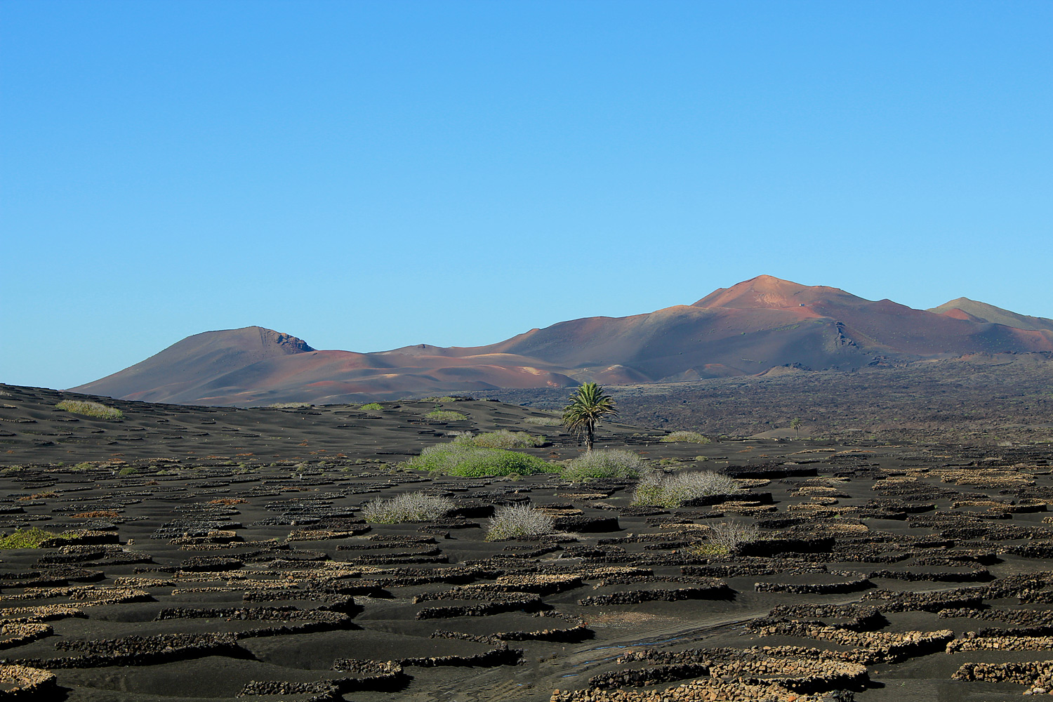 Visiter Lanzarote